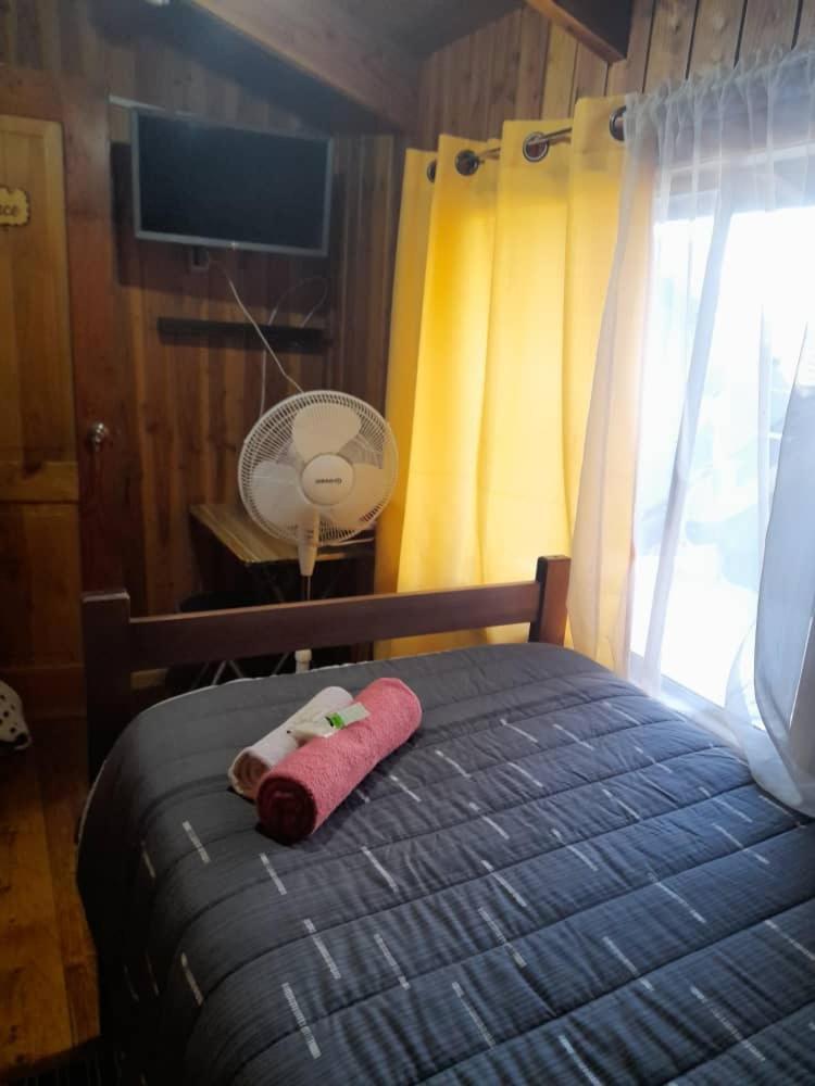 Hostal Newen Villarrica Luaran gambar
